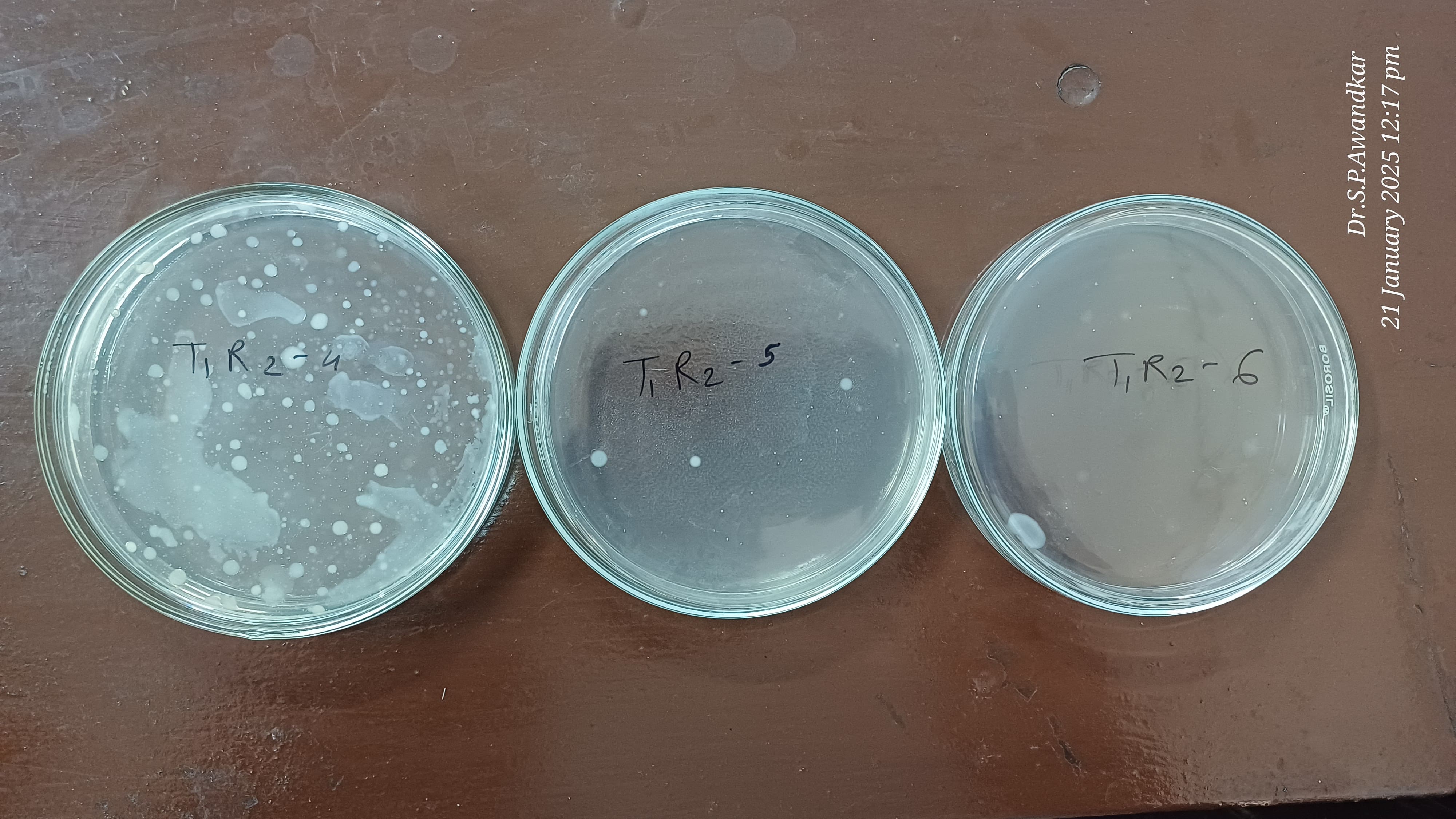 22. Total Viable Count